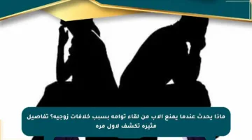 ماذا يحدث عندما يمنع الأب من لقاء توأمه بسبب خلافات زوجية؟ تفاصيل مثيرة تكشف لأول مرة
